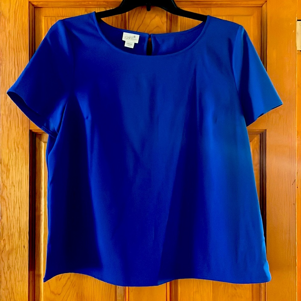 Short sleeved royal blue Jaclyn Smith blouse.